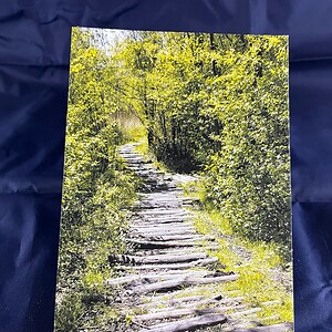 Ansichtkaart Pad door het Bos — set van 10