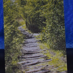 Ansichtkaart Pad door het Bos — set van 10