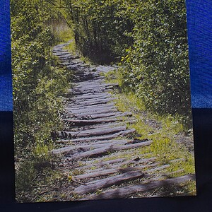 Ansichtkaart Pad door het Bos — set van 10