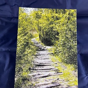 Ansichtkaart Pad door het Bos — set van 5