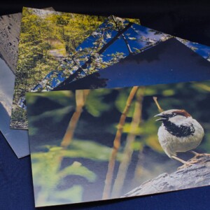 Ansichtkaart set van 5 designs