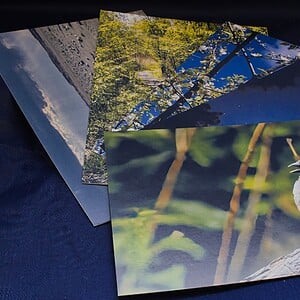 Ansichtkaart set van 5 designs