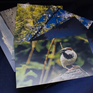 Ansichtkaart set van 5 designs