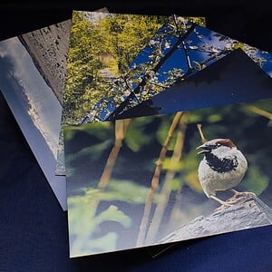 Ansichtkaart set van 5 designs