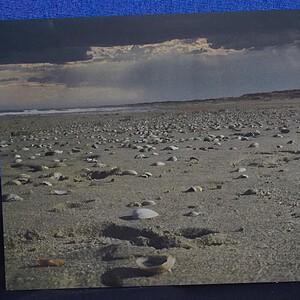 Ansichtkaart verlaten strand — set van 5