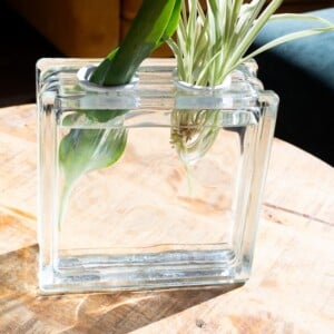 Glazen Blok Vaas – Moderne Decoratie – Strakke Design Vaas voor Bloemen – Minimalistische Bloemenvase – cadeau idee