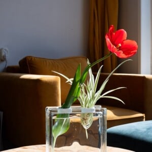 Glazen Blok Vaas – Moderne Decoratie – Strakke Design Vaas voor Bloemen – Minimalistische Bloemenvase – cadeau idee