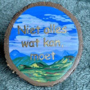 Handgeschilderd inspiratie bordje ‘ Niet alles wat kan, moet’