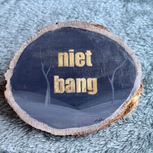 Handgeschilderd inspiratie bordje ‘niet bang’