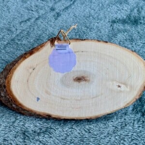 Handgeschilderd inspiratie bordje ‘Stilte’