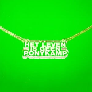 Ketting - Ponykamp