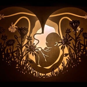 Lightbox ‘ I can feel you smiling ’