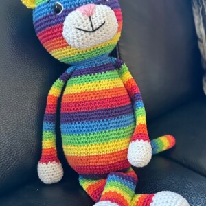 Regenboogkat