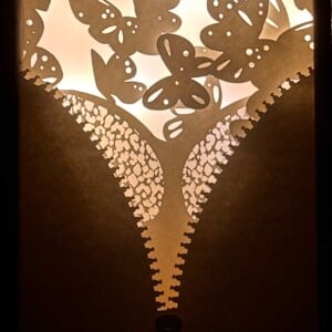 Shadow box ‘Pracht van een vrouw’