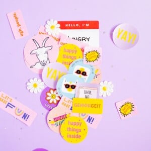 Stickerset Gekkiggeit - 12 stuks