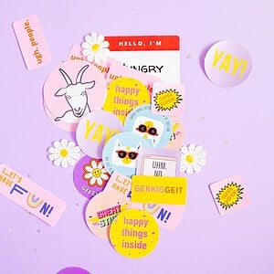 Stickerset Gekkiggeit - 12 stuks