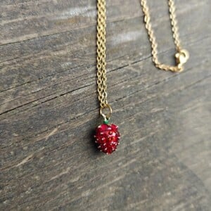 Aarbei ketting en oorbellen set
