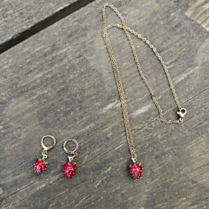 Aarbei ketting en oorbellen set