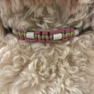 Anti-tekenband groen/roze