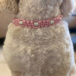 Anti-tekenband licht roze