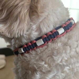 Anti-tekenband blauw/rood