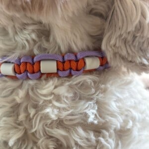 Anti-tekenband oranje paars