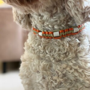 Anti-tekenband/halsband oranje, groen op maat gemaakt