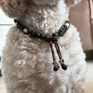 Anti-tekenhalsband base army