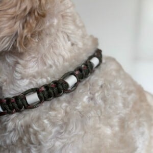 Anti-tekenhalsband base army