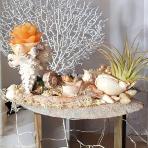 Decoratief schelpenarrangement met kaars en luchtplantje