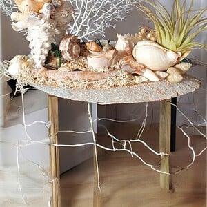 Decoratief schelpenarrangement met kaars en luchtplantje