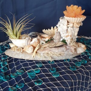 Decoratief schelpenarrangement met kaars en luchtplantje