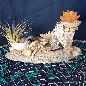 Decoratief schelpenarrangement met kaars en luchtplantje