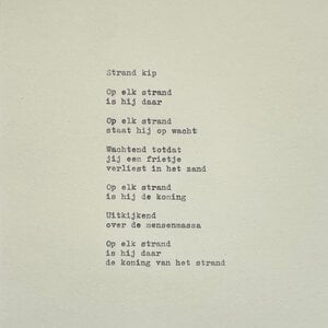 Gedicht - Strand kip