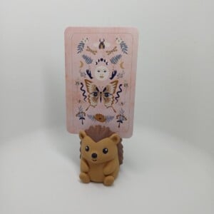 Kaartenhouder Egel van Plant-Based Plastic – Mini Fotohouder voor Kaartjes, Polaroids en Cadeaubon
