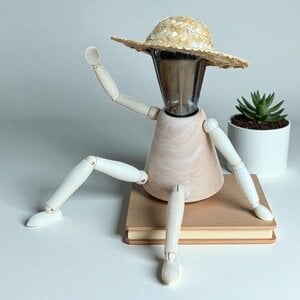 Lightbuddy | wood | strohoed