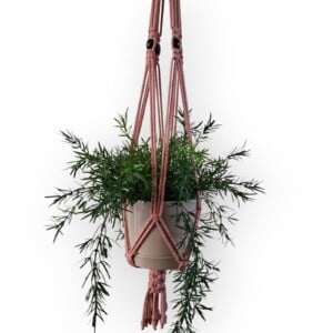 Macramé plantenhanger •Yara• incl. bloempot