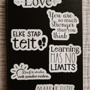 Motiverende quote stickerset, mix engels/nederlands set van 20 stuks