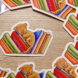 Slapende kat boeken sticker, transparant, vaatwasser proof 9.5x5.8 cm