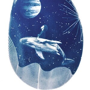workshop botanische blauwdruk (cyanotype)