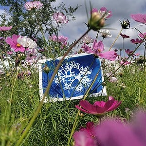 workshop botanische blauwdruk (cyanotype)