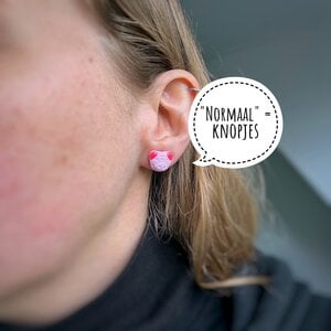 Biggetjes snoep oorbellen