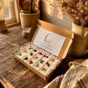 Botanical Discovery box