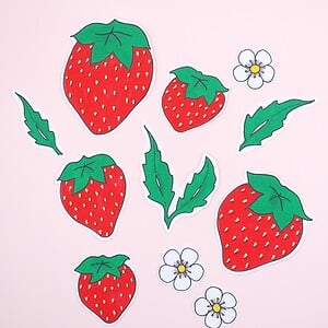 Hand getekende Sticker set, Aardbeien, Blaadjes en Bloemen, Groen Rood