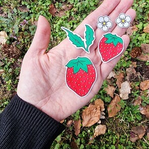 Hand getekende Sticker set, Aardbeien, Blaadjes en Bloemen, Groen Rood