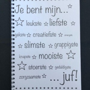 Invulboek voor de Juf – Persoonlijk afscheidscadeau vol herinneringen en lieve berichtjes
