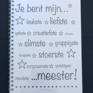 Invulboek voor de Meester – Persoonlijk afscheidscadeau met herinneringen en lieve boodschappen