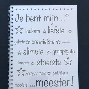 Invulboek voor de Meester – Persoonlijk afscheidscadeau met herinneringen en lieve boodschappen