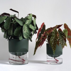 Kapi growing set: Small + Big flowerpot | Green