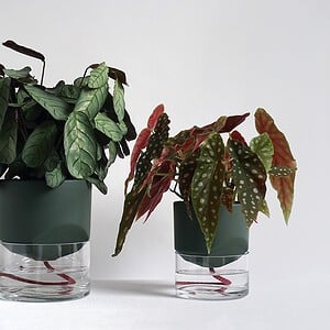 Kapi growing set: Small + Big flowerpot | Green